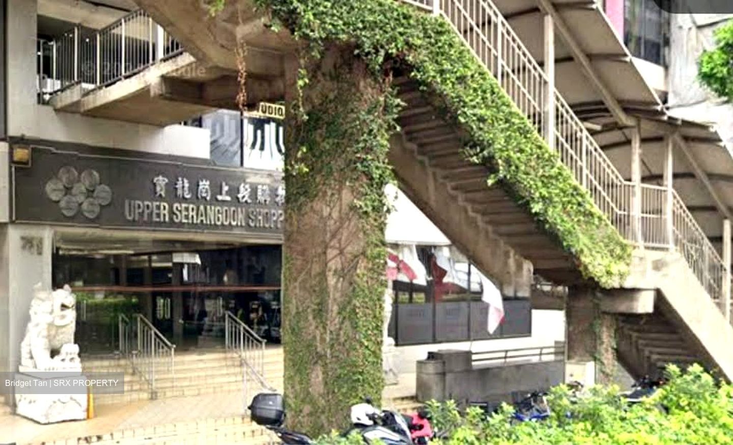 Upper Serangoon Shopping Centre (D19), Shop House #559562741